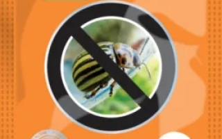 Смерть жукам (Витал)