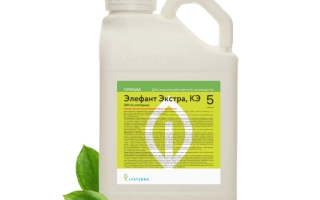 Стрикция к.е.