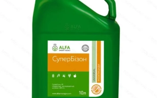 Супер Бизон