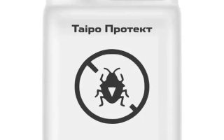 Таиро Протект