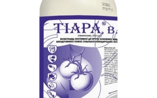 Тиара