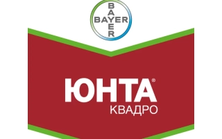 Юнта Квадро