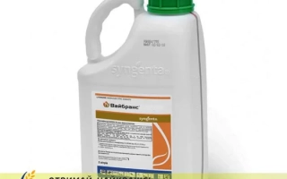 ВАЙБРАНС 500 FS