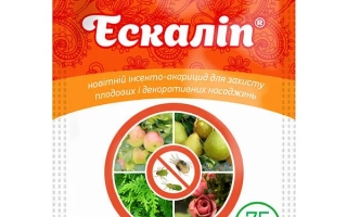 Зали, к.е., Исектицид