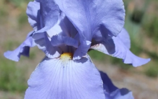 Сиерра Скайс / Сьерра Скайз