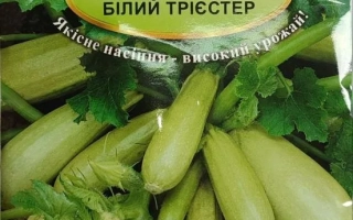 Пакет семян кабачка Белый Триестер
