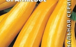 Чудо Оранжевое