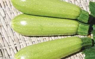 Донья Перфекта