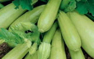 Корнишонный