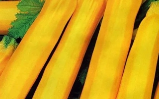 Лимонадный ДЖО