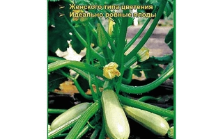 Пакет семян кабачка Медуза F1 с изображением плодов на растении