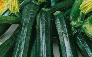 Негритенок