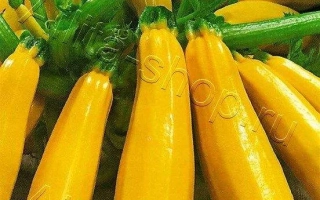 Щедрый Богатырь