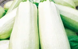 Северный Мишка