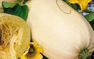 Спагетти Фемели