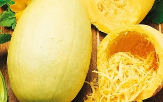 Спагетти Равиоло