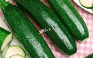 СТАРТГРИН F1