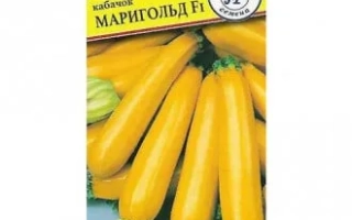 Золотая Шейка