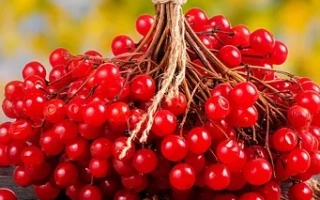 Украиночка