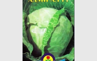 Адмирал F1 (ЦЛ 807 F1)