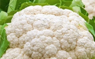 Белый Замок