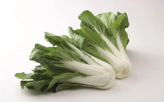 Fresh bok choy on white background - BOPAK