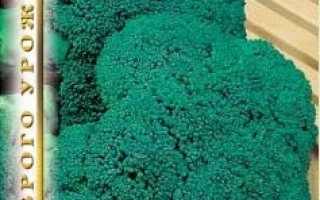 Пакет семян капусты Цезар с изображением брокколи