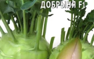 Kohlrabi seeds Dobrynya from VNIISOCK - DOBRANYA