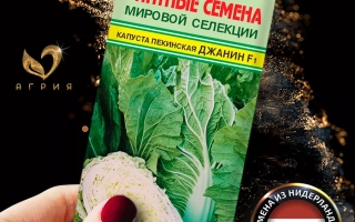 Пакет семян капусты ДЖАНИН с изображением кочана