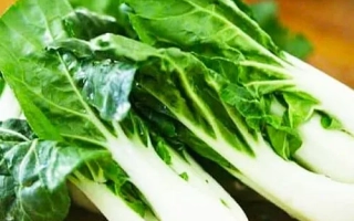 Fresh JOYCHOY | JOYCHOY cabbage on wooden surface