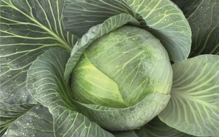 Экспектейшен