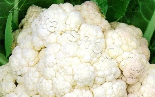 Елена Прекрасная