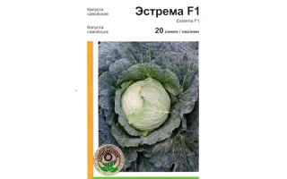 Пакет семян капусты Эстрема F1 с изображением кочана