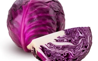 Fresh red cabbage, cut into two pieces, on a white background - GOLUBA