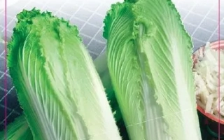 Пакет семян капусты Гранада - Граната