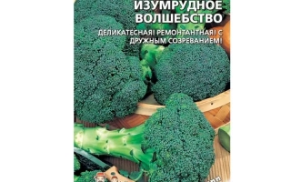 Изумрудное Волшебство