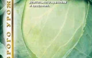 Капуста белокочанная Каменная Голова