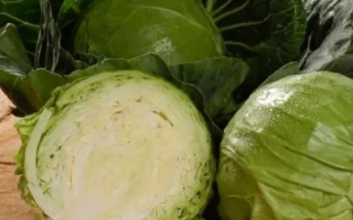 Свежая капуста с разрезанным кочаном на деревянной доске - КАНДИСА F1