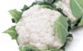 Свежая цветная капуста на белом фоне - Каспер РЦ F1