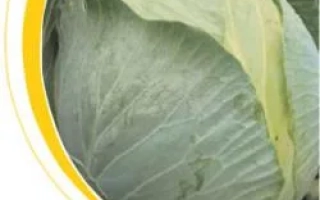 Капуста Castello F1 - Кастелло F1