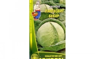 Лангесвит Бевар