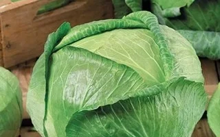 ЛОСИНООСТРОВСКАЯ 8