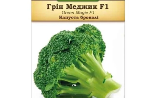 Меджик F1
