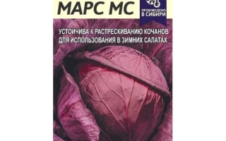 Семена капусты краснокочанной МАРС МС