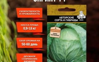 Марсельеза