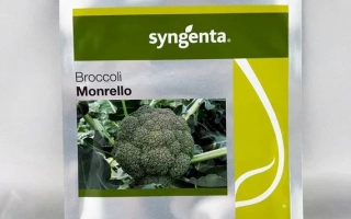 Пакет семян брокколи Monrello от Syngenta - МОНРЕЛЛО