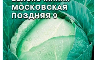 МОСКОВСКАЯ ПОЗДНЯЯ 9