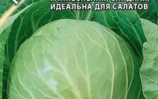 Находка В Грядке