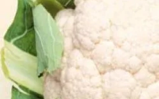 Белокочанная капуста - Новария F1