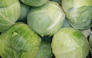 ОТЕЧЕСТВЕННАЯ 2